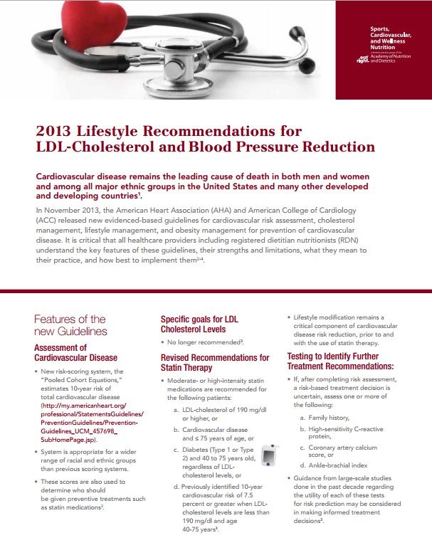 2013 LIfestye Recommendations Fact Sheet